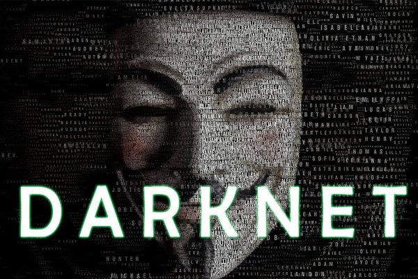 Darknet omg omg